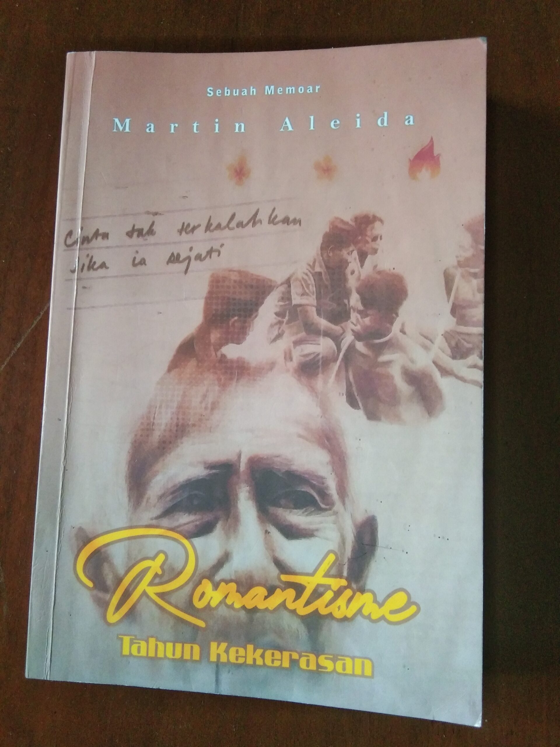 Cover of "Romanticism in the Years of Violence" by Martin Aleida